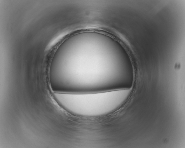 X0000113641456200909181317