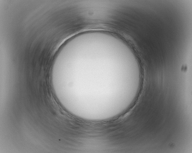 X0000113641457200909181317