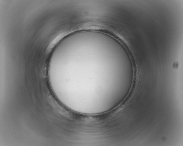 X0000113641459200909181317