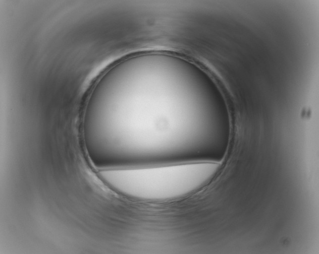 X0000113641460200909181317