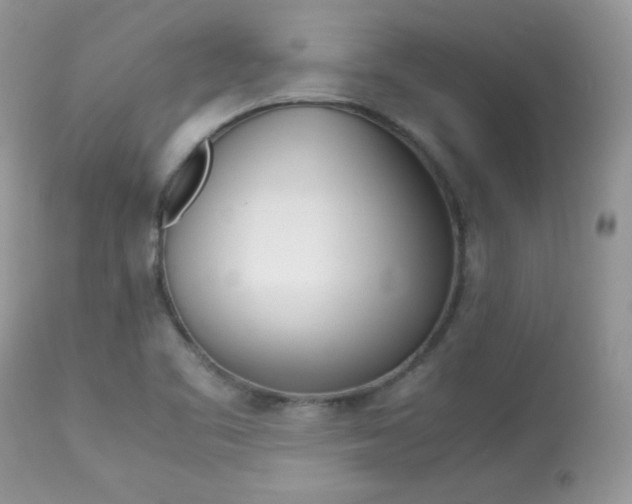 X0000113641461200909181317