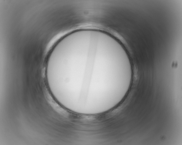 X0000113641462200909181317