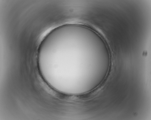 X0000113641463200909181317