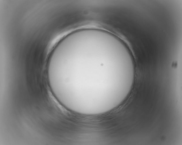 X0000113641464200909181317