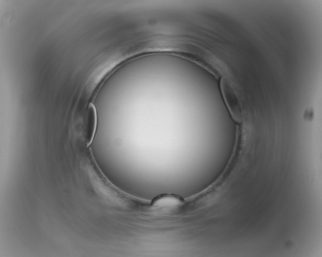 X0000113641465200909181317