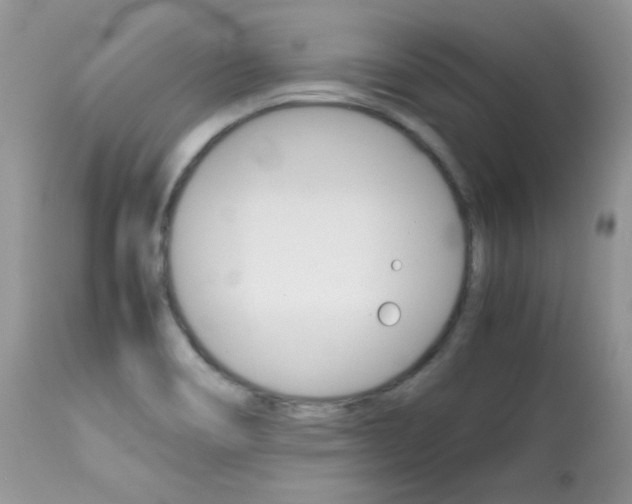 X0000113641466200909181317