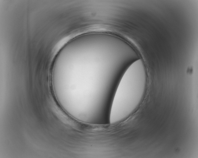 X0000113641467200909181317