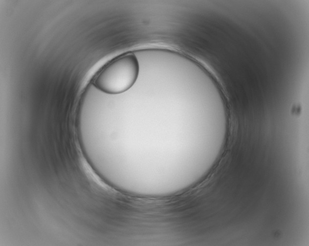 X0000113641468200909181317