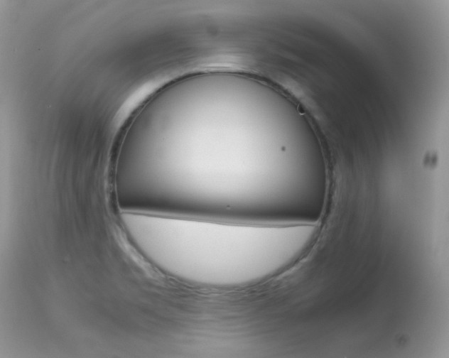 X0000113641469200909181317
