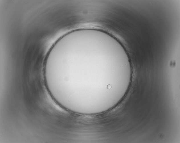 X0000113641470200909181317