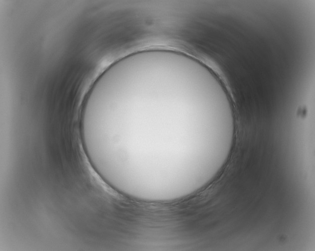 X0000113641472200909181317