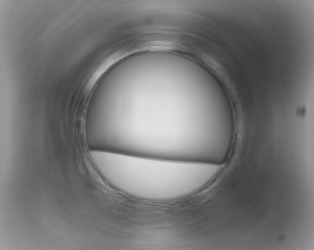 X0000113641473200909181317
