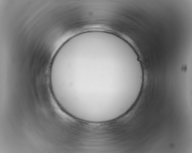 X0000113641474200909181317