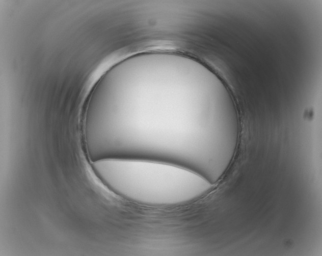 X0000113641475200909181317