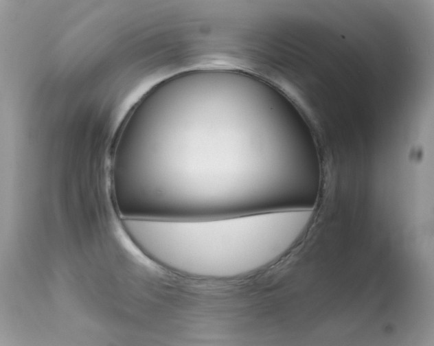 X0000113641476200909181317