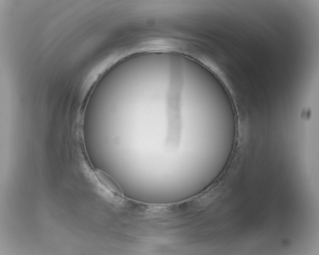 X0000113641477200909181317
