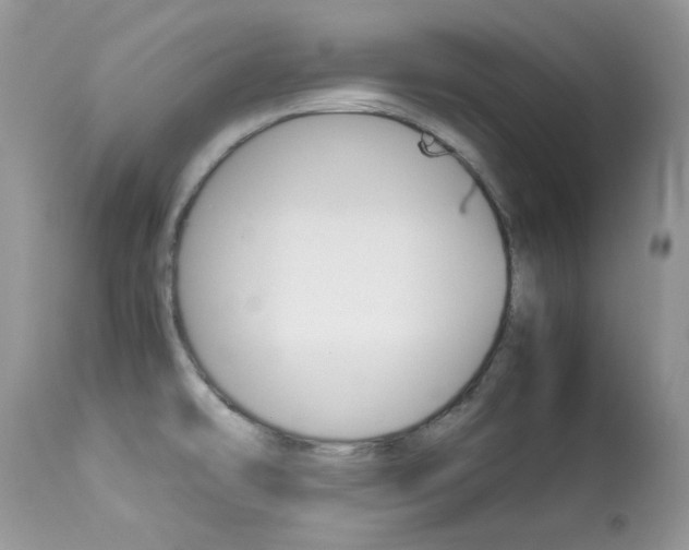 X0000113641478200909181317