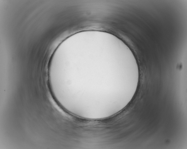 X0000113641479200909181317