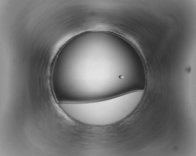 X0000113641480200909181317