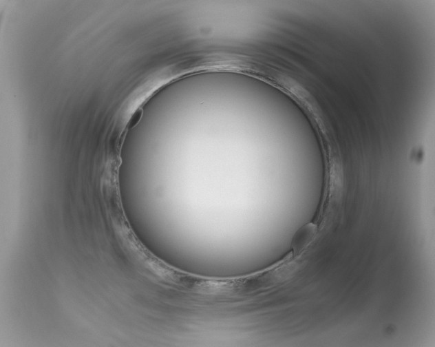 X0000113641481200909181317