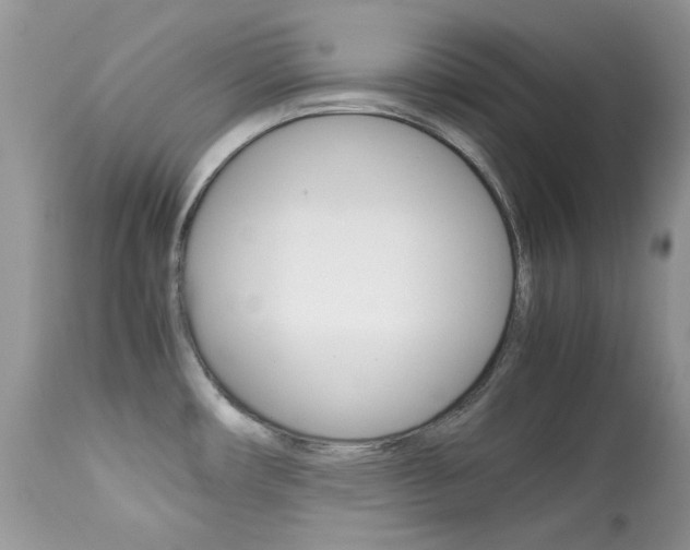 X0000113641482200909181317