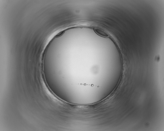 X0000113641483200909181317