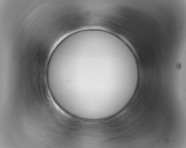 X0000113641484200909181317