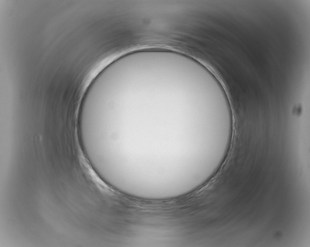 X0000113641485200909181317