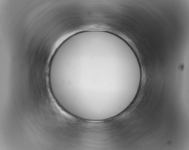 X0000113641486200909181317