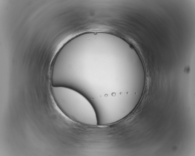 X0000113641487200909181317