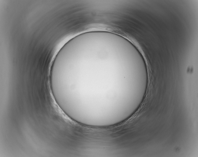X0000113641488200909181317