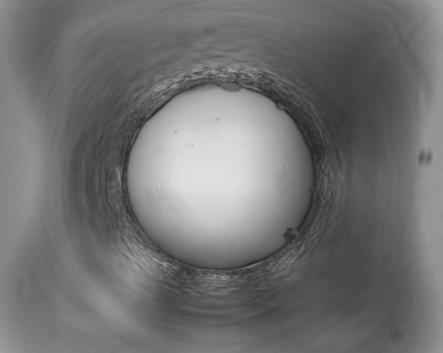 X0000113641489200909181316