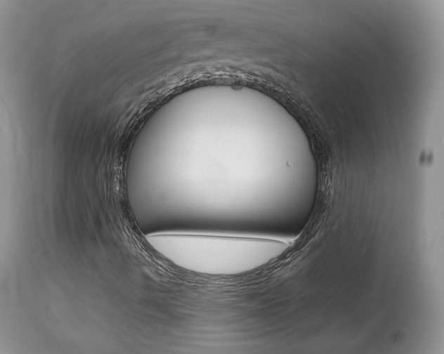 X0000113641490200909181316