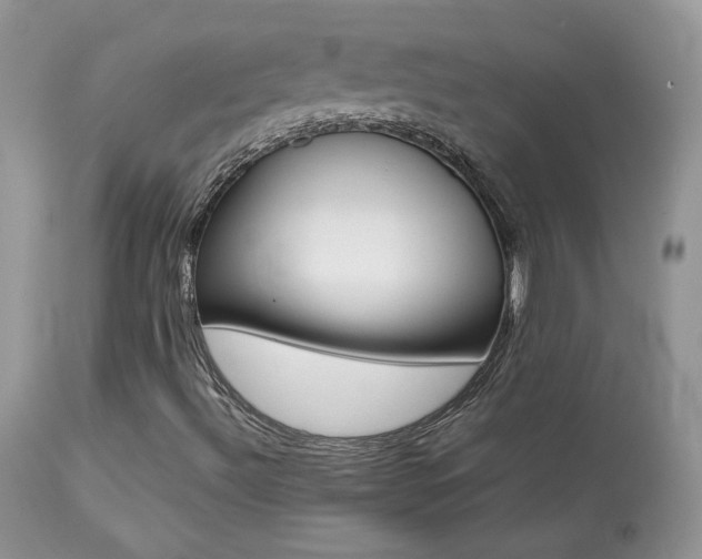 X0000113641492200909181316
