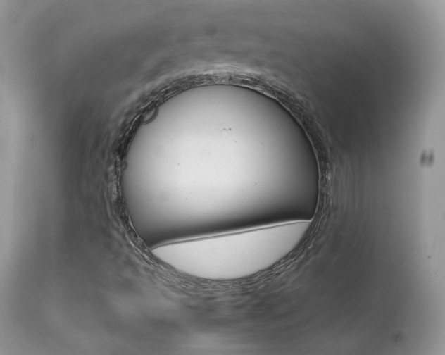 X0000113641493200909181316