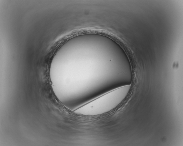 X0000113641494200909181316