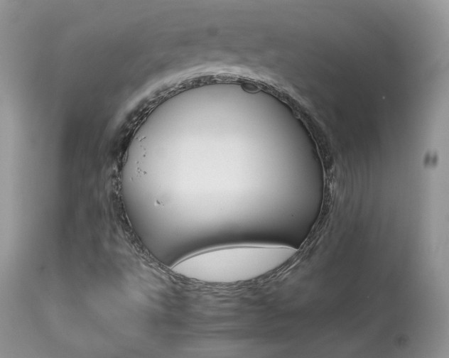 X0000113641495200909181316