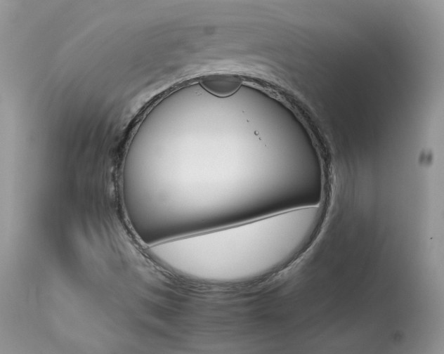 X0000113641497200909181316