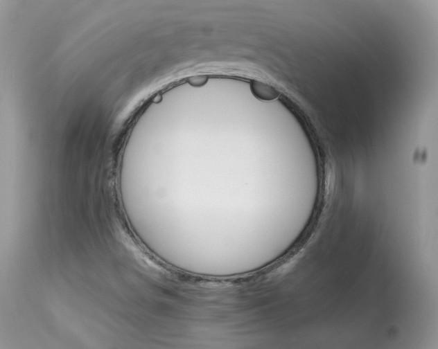X0000113641498200909181316