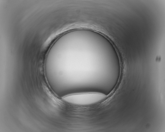 X0000113641499200909181316