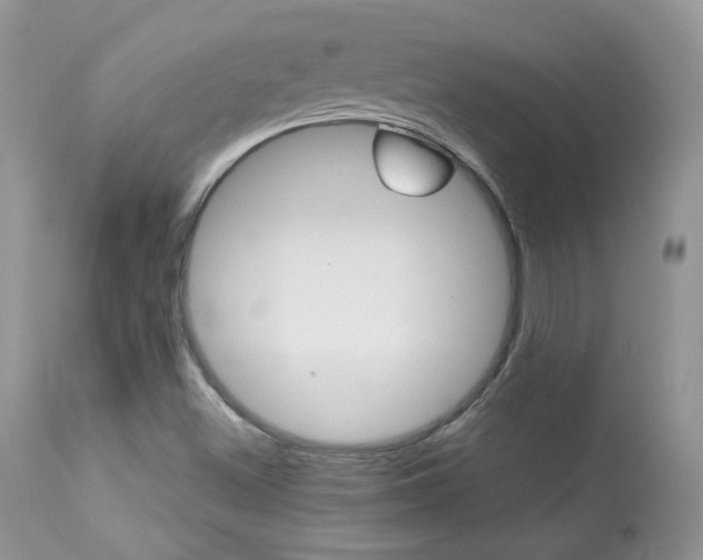 X0000113641500200909181316