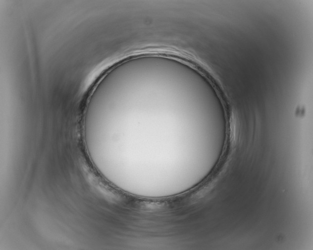X0000113641501200909181316