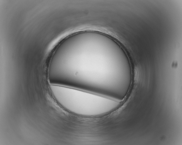 X0000113641502200909181317