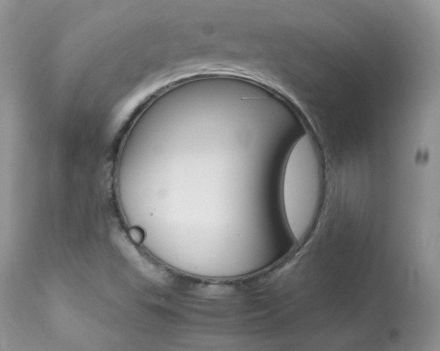 X0000113641503200909181317