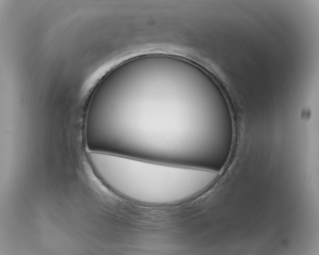 X0000113641504200909181317