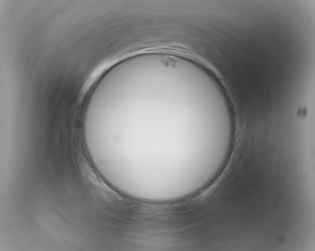 X0000113641506200909181317