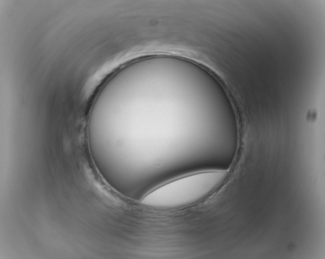 X0000113641507200909181317