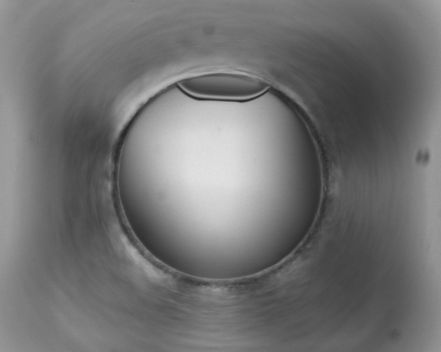 X0000113641508200909181317