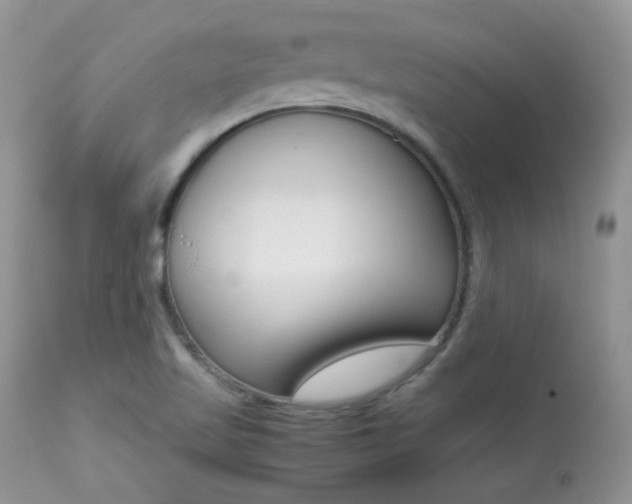 X0000113641509200909181317