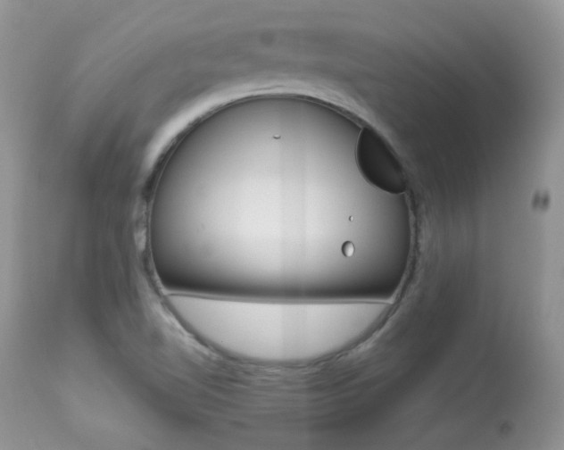 X0000113641510200909181317
